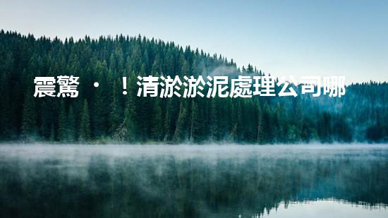 震驚！清淤淤泥處理公司哪家強？在線等，挺急的！